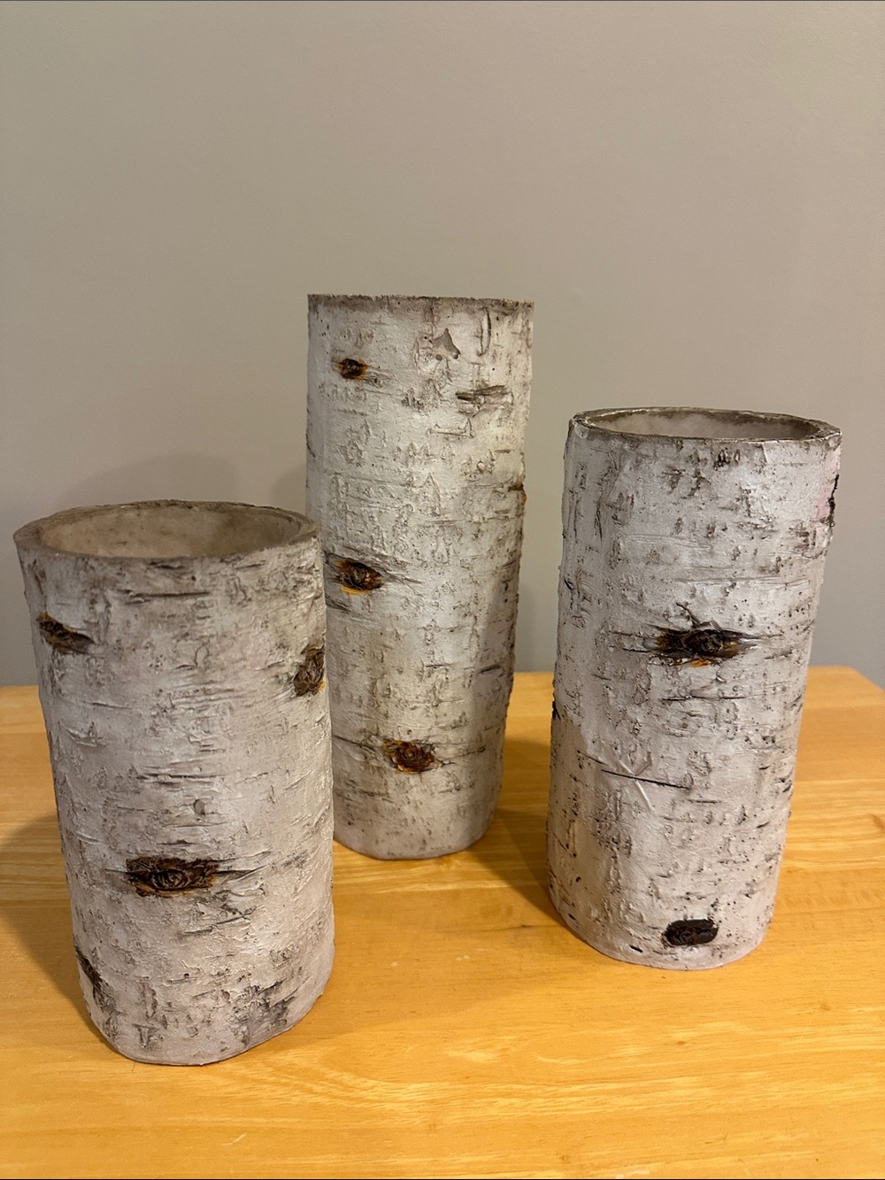 Rustic White Birch Cylinder Candlesticks - Set of 3